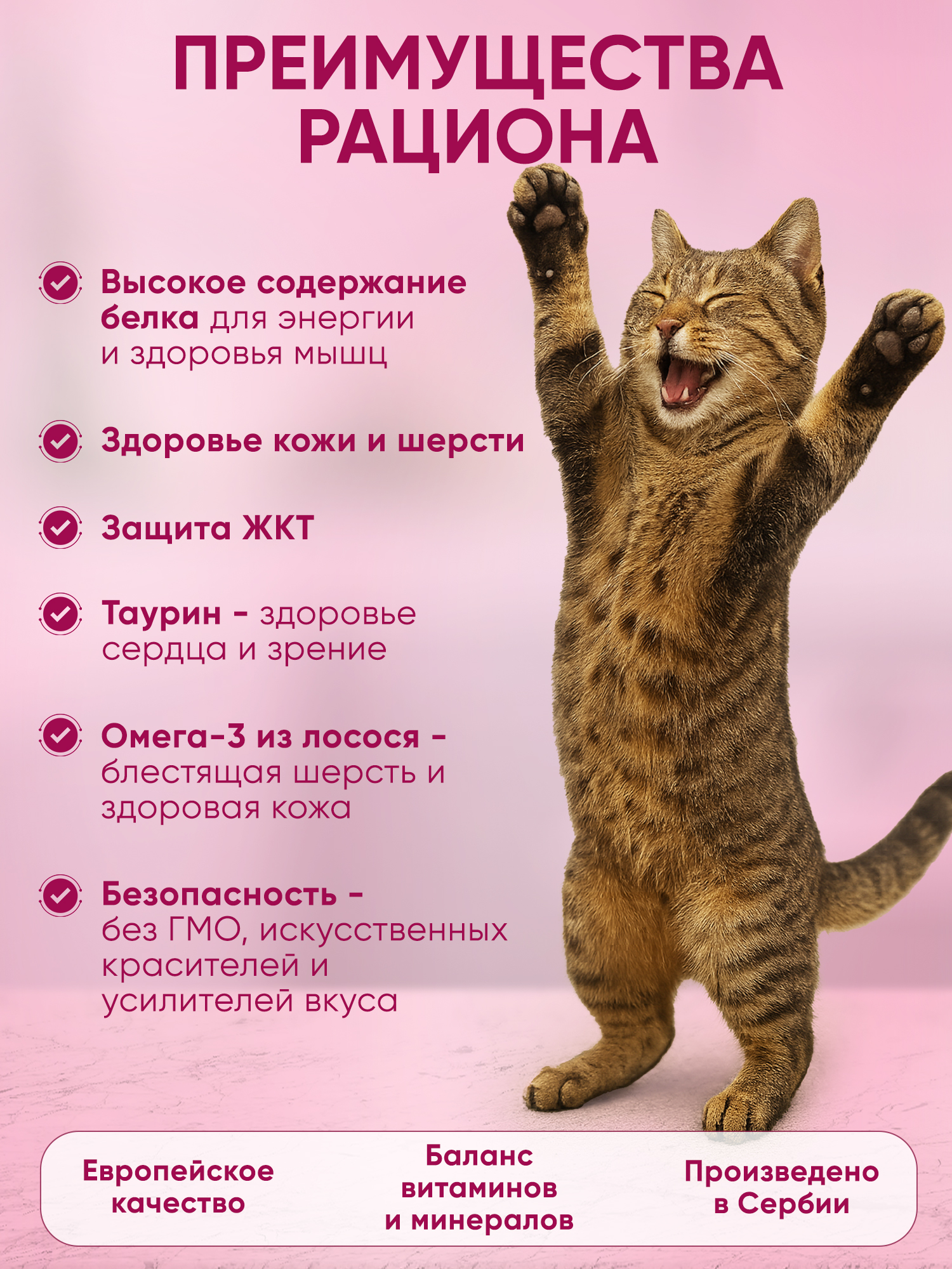 Корм для кошек PILLOW mix cat sensitive